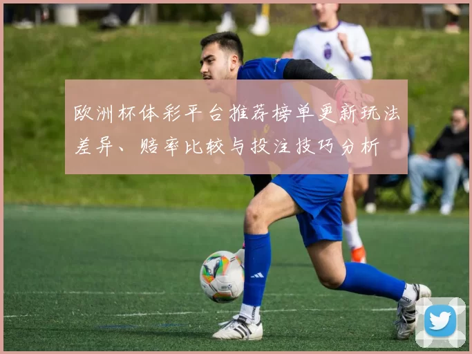 欧洲杯体彩平台推荐榜单更新玩法差异、赔率比较与投注技巧分析