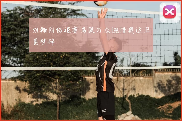 刘翔因伤退赛鸟巢万众惋惜奥运卫冕梦碎