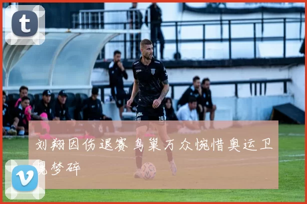 刘翔因伤退赛鸟巢万众惋惜奥运卫冕梦碎